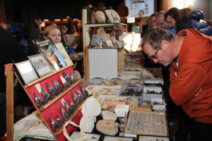 fossielenbeurs2013a